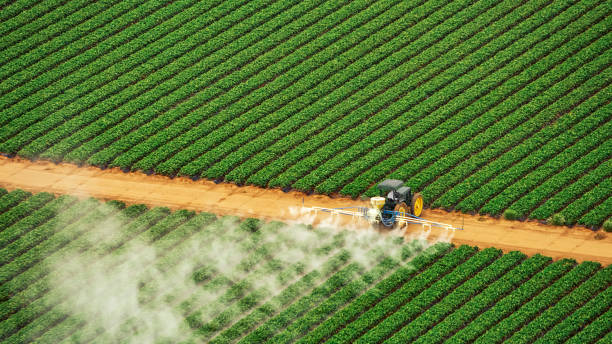 Pest Prevention Services in Belen, NM