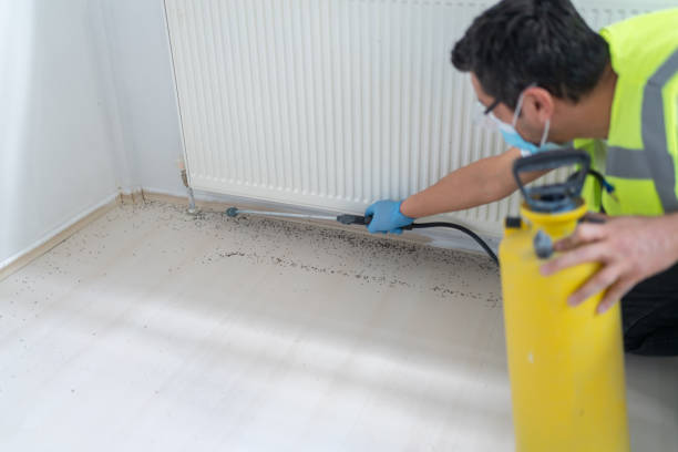 Best Pest Removal Services  in Belen, NM